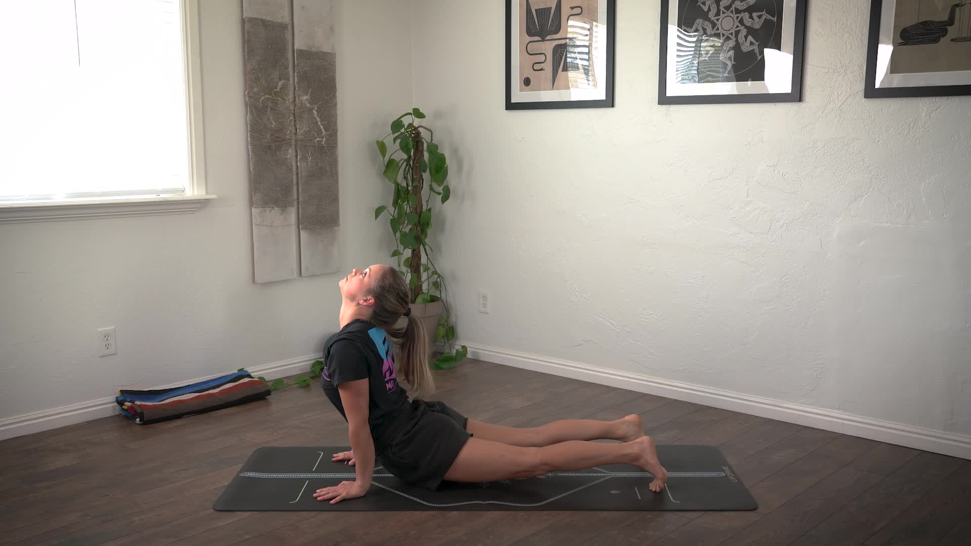 Micro Physio: Full Body