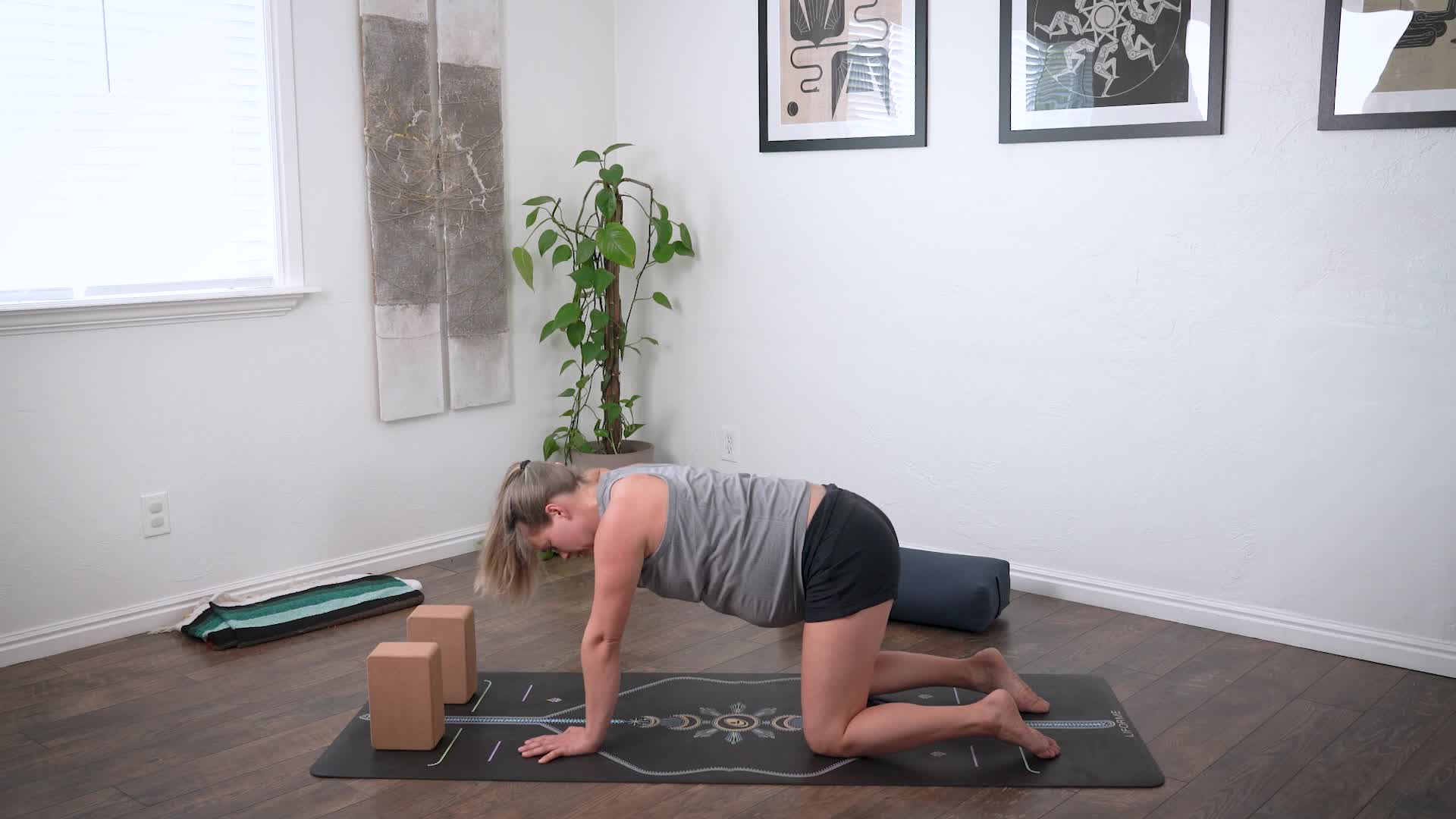 Micro Physio: Upper Body