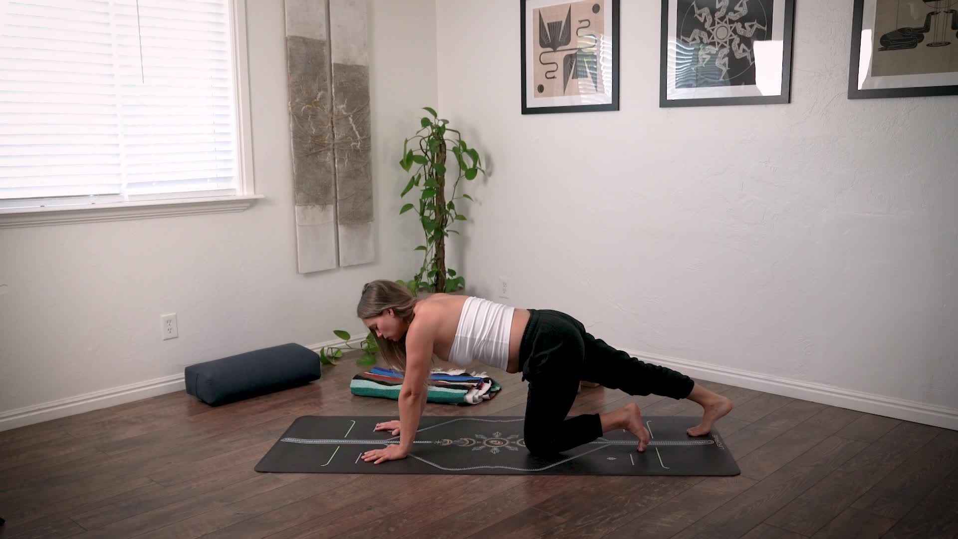 Micro Physio: Hips