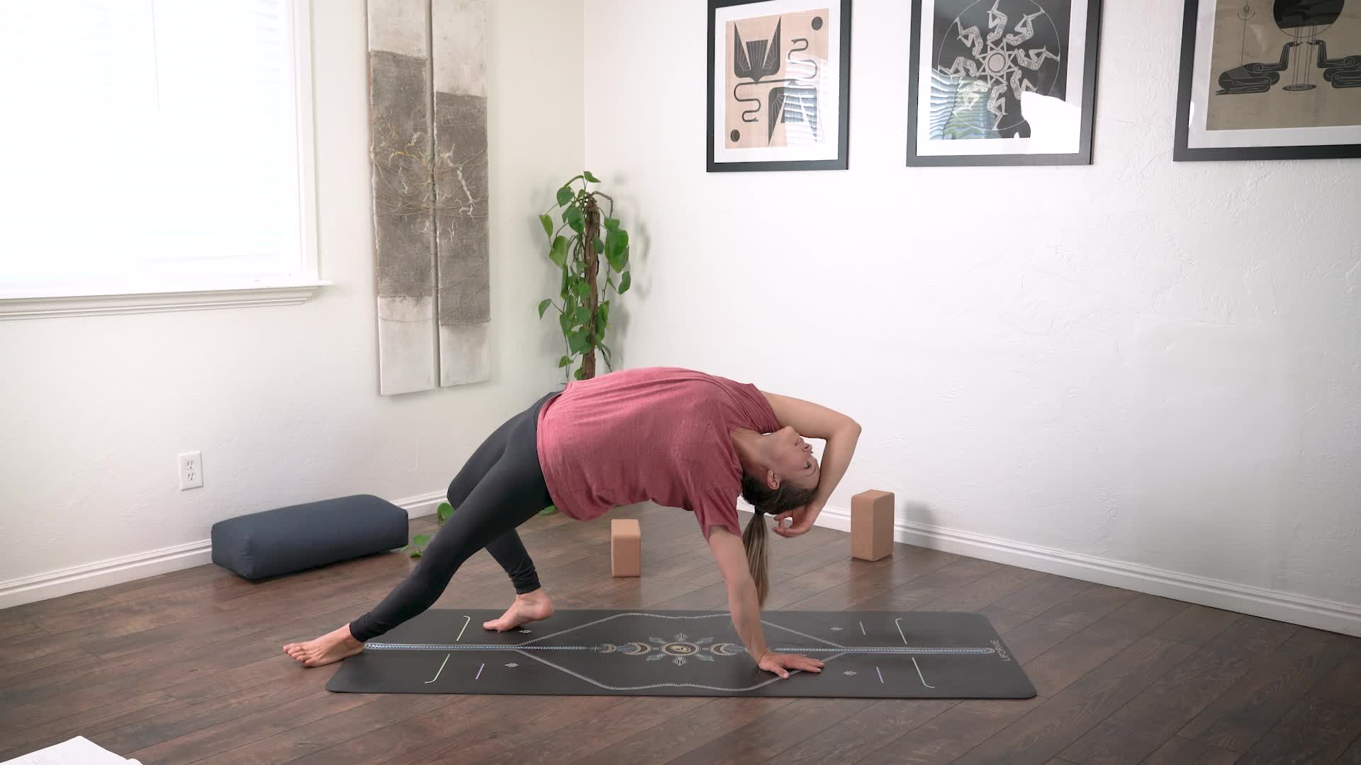 Movement & Stillness