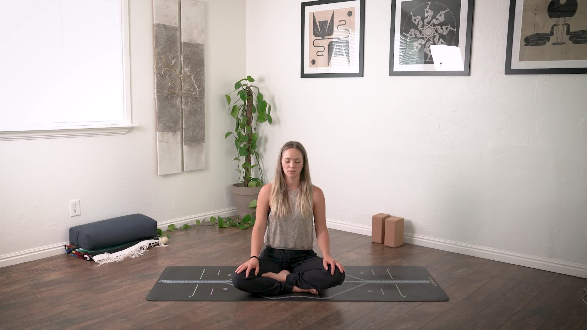Guided Meditation - Lungs (Bonus)