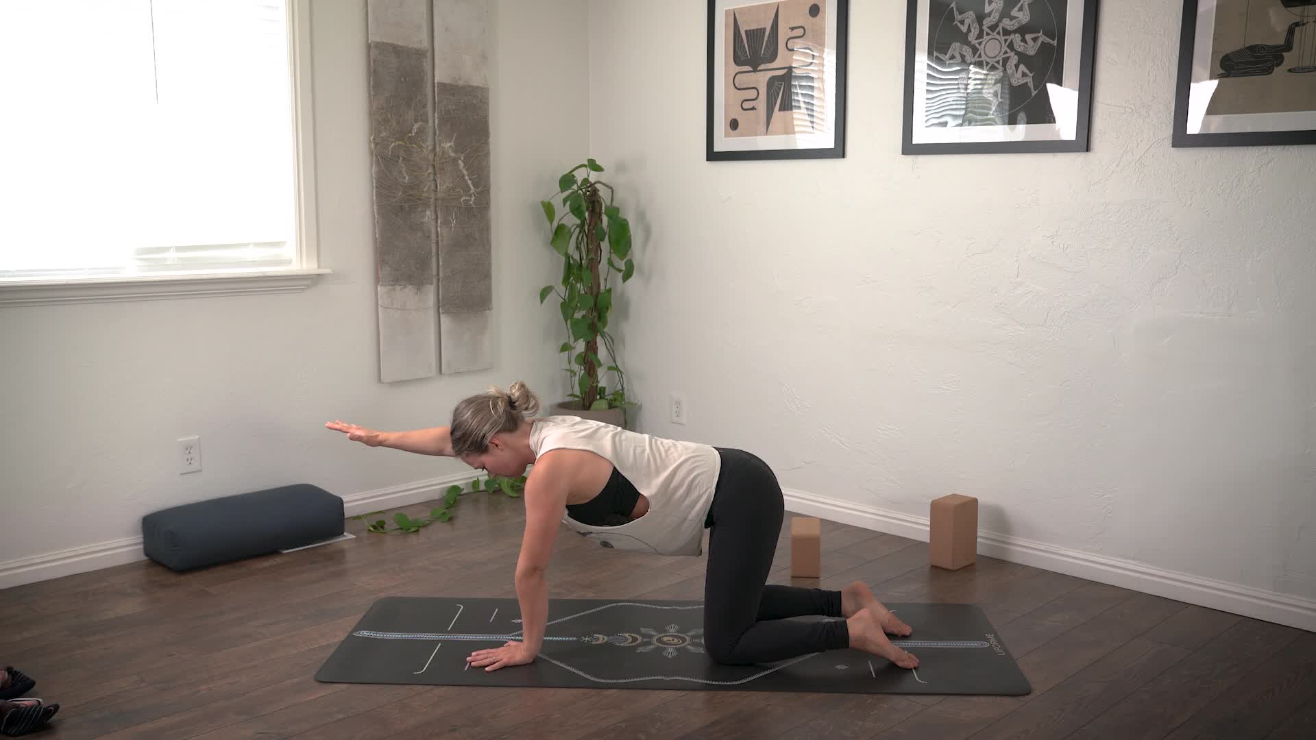 Micro Physio: General